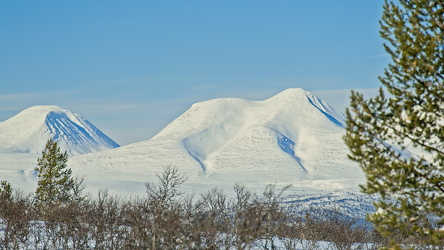  A742142