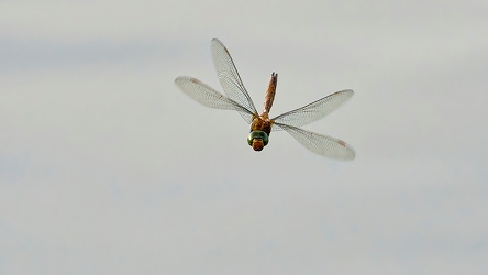  A745918-Resize