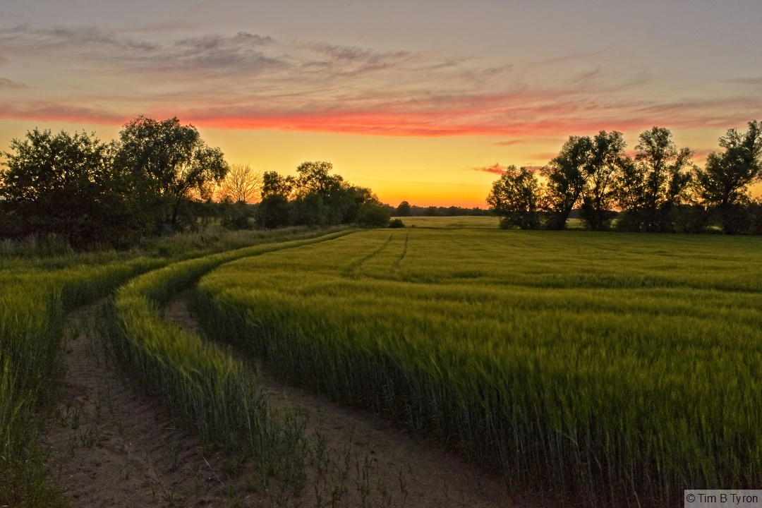 _DSC2876_HDR.jpg