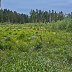 Kongernes Nordsjælland, DK