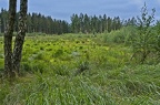 Kongernes Nordsjælland, DK