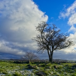  DSC8060 HDR