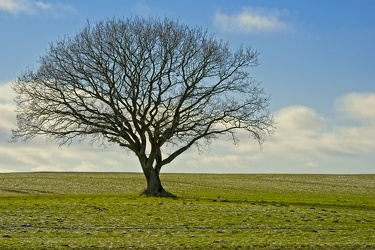  DSC8201 HDR