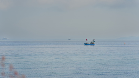  A746901