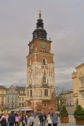  A742495