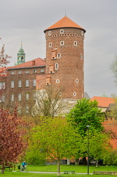  A742506