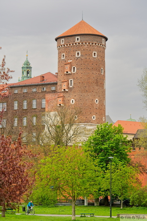 _A742506.jpg