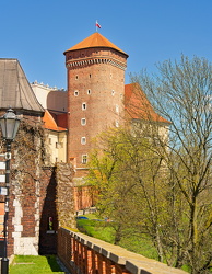  A742546