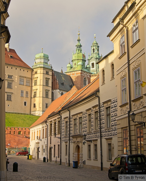 _A742831.jpg