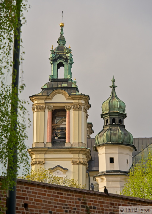 _A742845.jpg