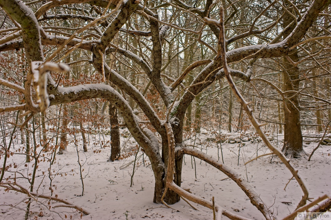 _DSC8568_HDR.jpg